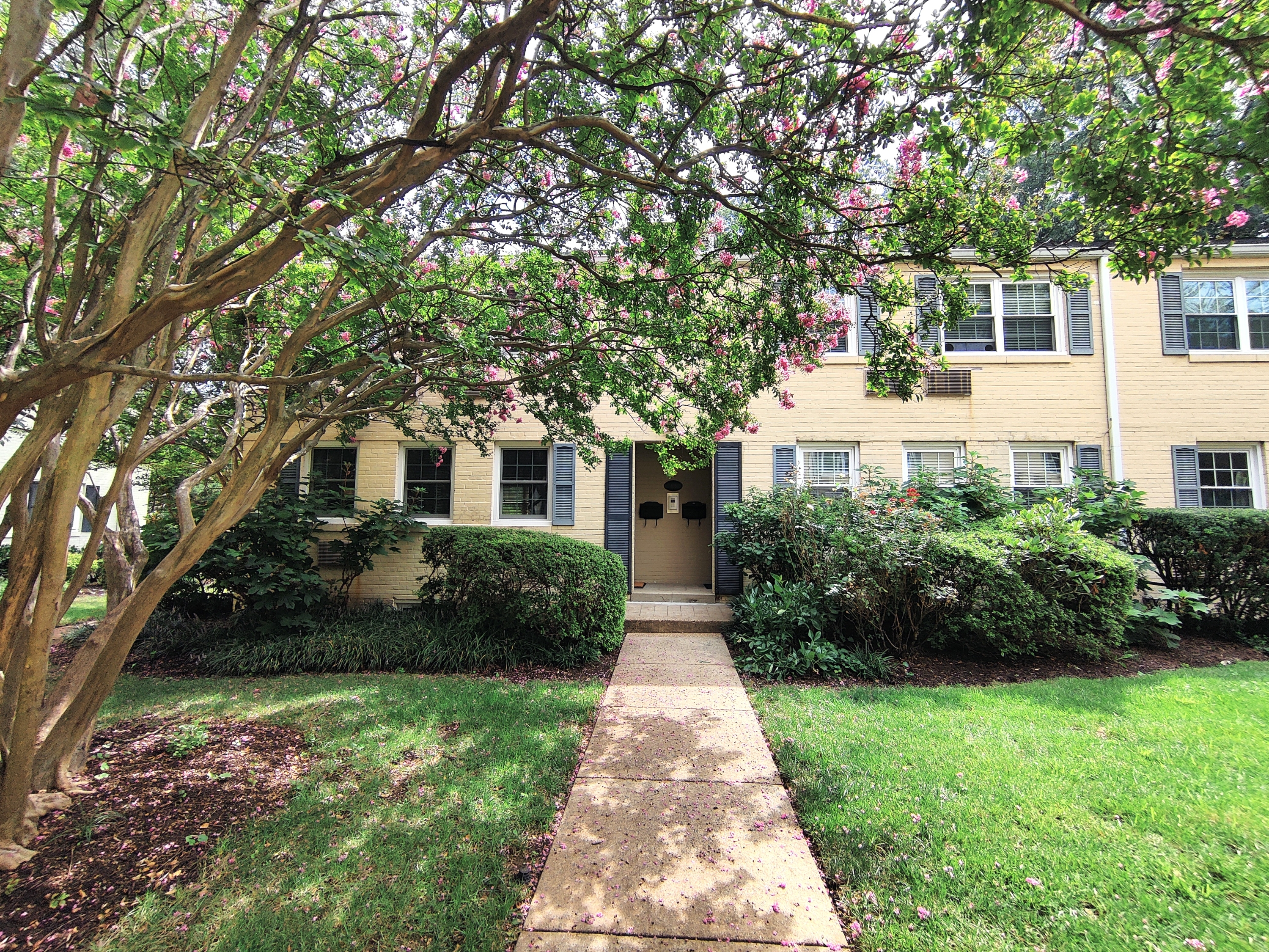103 North George Mason Drive